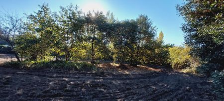 🚞 Vendemos Sitio/ Parcela en sector la Leonera Vieja, comuna de Chiguayante, Concepción.