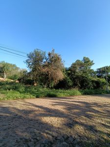 Vendo 1 Hectarea. San Bernardino. Zona Anfiteatro. Cod 027