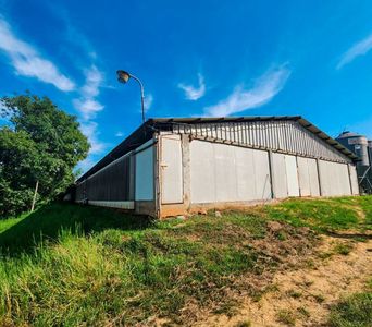 Vendo 10 Hectáreas En Caacupé. Cod Va