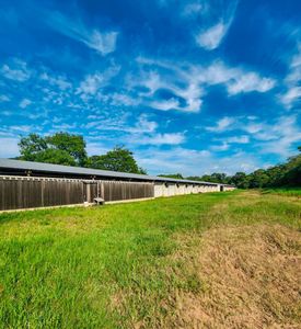 Vendo 10 Hectáreas En Caacupé. Cod Va Foto 2 de 7