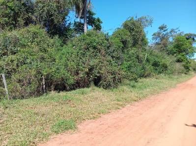 Vendo 10 Hectáreas en Caaguazú