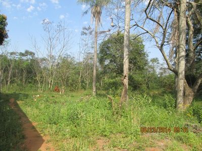 Vendo 2 hectáreas en Yaguaron HERMOSA PROPIEDAD OFERTA POR ESTE MES