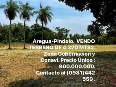 VENDO 4320 MTS2. AREGUA- PINDOLO ZONA GOBERNACIÓN Y CONAVI.