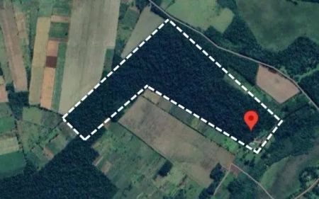 VENDO 6O HECTÁREAS EN SAN JOAQUIN CAAGUAZU1