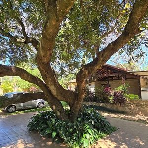 Vendo casa de 3 dormitorios en San Bernardino Foto 5 de 9