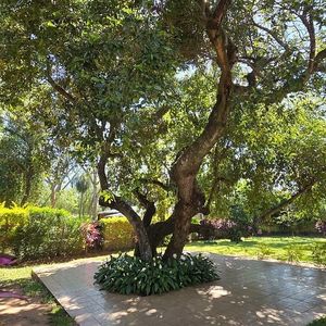 Vendo casa de 3 dormitorios en San Bernardino Foto 9 de 9