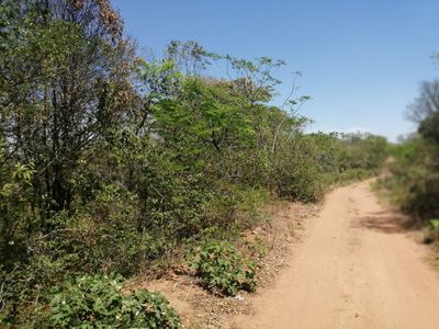 VENDO DOS HECTAREAS EN SAN BERNARDINO COD 3287