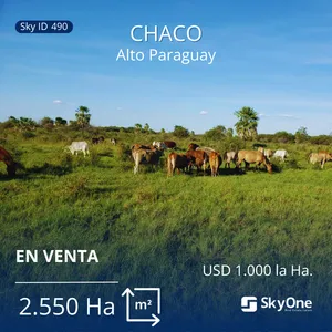 Campos en venta hasta 20.000.000.000 en Paraguay Yumblin Paraguay