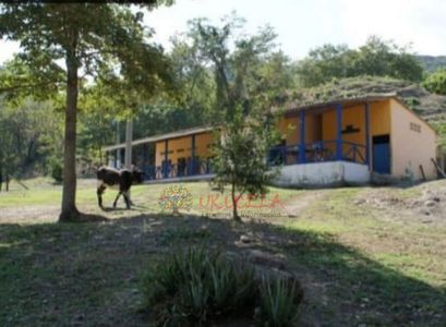 VENDO FINCA EN EL LIBANO TOLIMA-con Licencia de Urbanismo Vigente-Bellavista