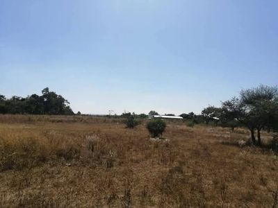 VENDO PROPIEDAD DE UNA HECTAREA EN AREGUA- YUQUYRY COD 3308