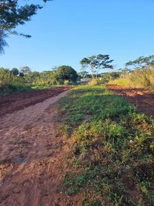 Vendo Terreno de 7553 m2 en Fraccion Altos de Ypane a 7 cuadras de la Ruta a Guarambare