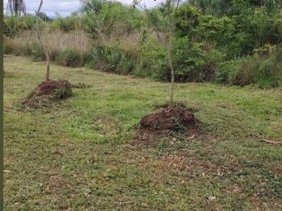 Vendo Terreno de 920 mts2 en San Bernardino Foto 2 de 2