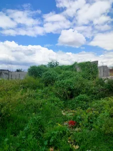 Vendo Terreno en Amozoc, Puebla