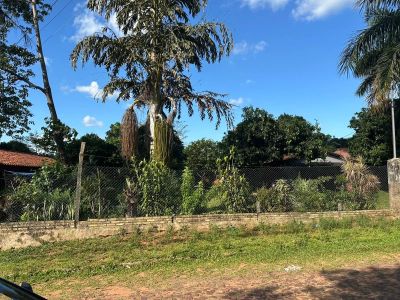 VENDO TERRENO EN OFERTA EN CAPIATA