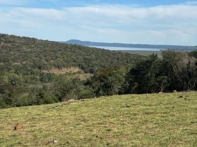 VENDO TERRENOS CON HERMOSAS VISTAS EN SANBER CAMINO A NUEVA COLOMBIA