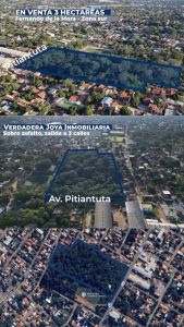 VENDO TRES HECTÁREAS EN FERNANDO DE LA MORA