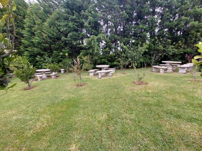 Venta de Finca + APTO,2 Ranchos y 2 Bodegas en San Rafael, Heredia. RAH 26-434 Foto 8 de 10