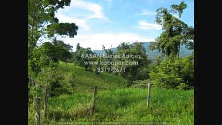 Venta de Fincas en Puerto viejo - Sarapiquí