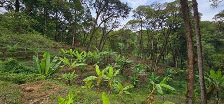 Venta de Fondo de Comercio en La Unión, Cartago. (OPORTUNIDAD UNICA PARA INVERSORES Y EMPRENDEDORES) Foto 8 de 10