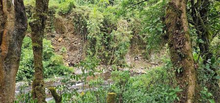 Venta de Fondo de Comercio en La Unión, Cartago. (OPORTUNIDAD UNICA PARA INVERSORES Y EMPRENDEDORES) Foto 7 de 10