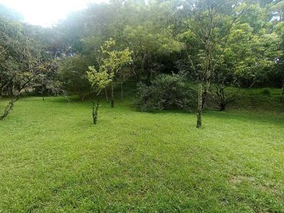 Venta de Lote en Mora, San José. RAH 26-420