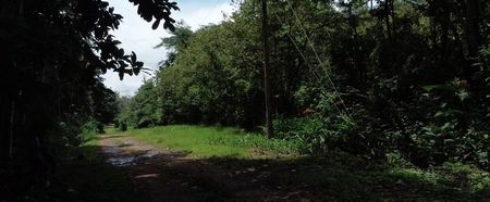 Venta de Lote en Orotina de Alajuela.  Foto 4 de 10
