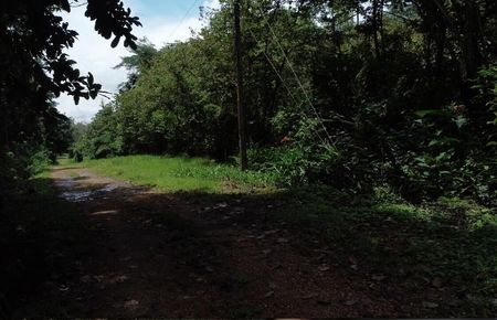 Venta de Lote en Orotina de Alajuela.  Foto 5 de 10