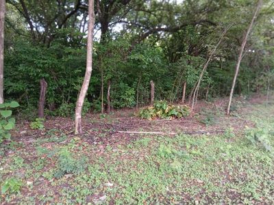 Venta de Lote en Santa Cruz de Guanacaste. RAH 25-1924 Foto 3 de 9