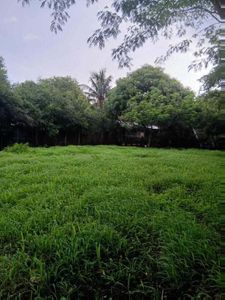 Venta de Lote en Santa Cruz de Guanacaste. RAH 25-1924 Foto 9 de 9