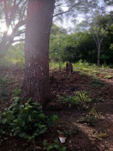 Venta de Lote en Santa Cruz de Guanacaste. RAH 25-1924 Foto 4 de 9