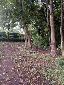 Venta de Lote en Santa Cruz de Guanacaste. RAH 25-1924 Foto 6 de 9