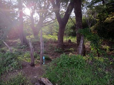 Venta de Lote en Santa Cruz de Guanacaste. RAH 25-1924
