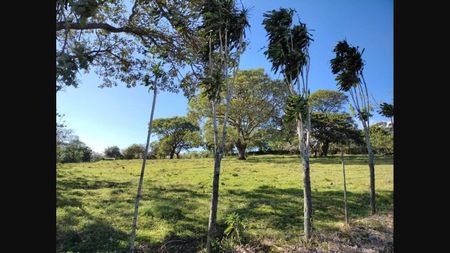 Venta de Lotes y Terrenos en ángeles - San rafael