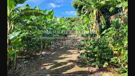 Venta de Lotes y Terrenos en Curridabat - Curridabat Foto 1 de 17