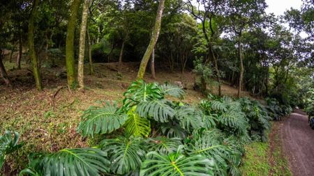 Venta de Lotes y Terrenos en Piedades - Santa ana