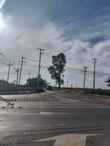 VENTA DE TERRENO 5 HECTAREAS SOBRE CARRETERA SENEGAL DE PAL