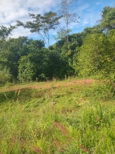 VENTA DE TERRENO EN CORONEL OVIEDO