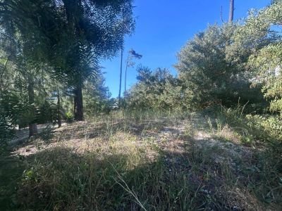 Venta de terreno en Pinar Norte 600 mts2 Foto 2 de 3