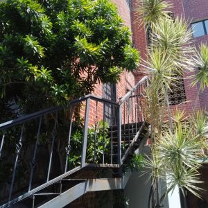 Venta Edificio Plaza Venezuela