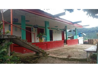 VENTA FINCA CAFETERA EN ANDES, TAPARTO