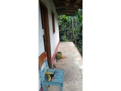 VENTA FINCA CAFETERA EN ANDES, VEREDA SAN AGUSTIN Foto 3 de 20