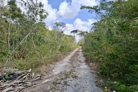 VENTA TERRENO - AVENIDA COLOSIO - SM. 307