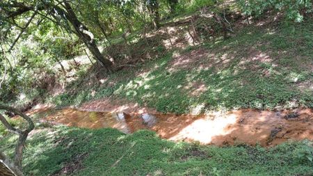 YAGUARON-ÑUATY VENDO 7 HECTÁREAS CON ARROYO Y CASA S/CALLE TERRAPLENADA TODO TIEMPO A 2 KMS DE RUTA.