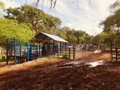 Zc.p Finca Ganadera Y Agrícola Con Casa En Venta, En El Naipe, Carabobo. Foto 17 de 30