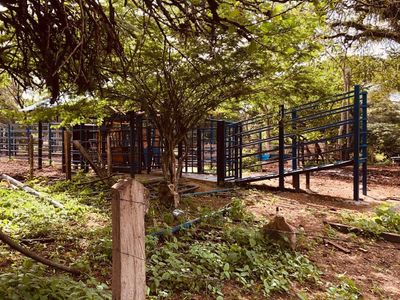 Zc.p Finca Ganadera Y Agrícola Con Casa En Venta, En El Naipe, Carabobo. Foto 18 de 30