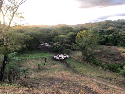 Zc.p Finca Ganadera Y Agrícola Con Casa En Venta, En El Naipe, Carabobo. Foto 23 de 30