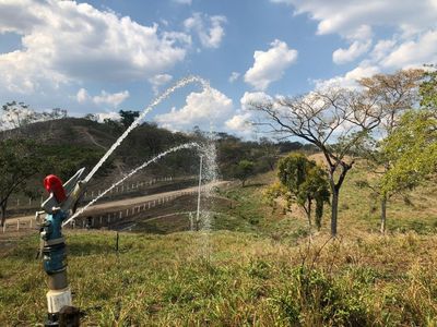Zc.p Finca Ganadera Y Agrícola Con Casa En Venta, En El Naipe, Carabobo. Foto 24 de 30