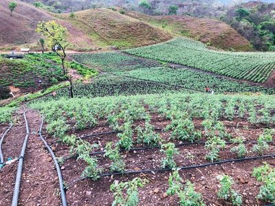 Zc.p Finca Ganadera Y Agrícola Con Casa En Venta, En El Naipe, Carabobo. Foto 25 de 30